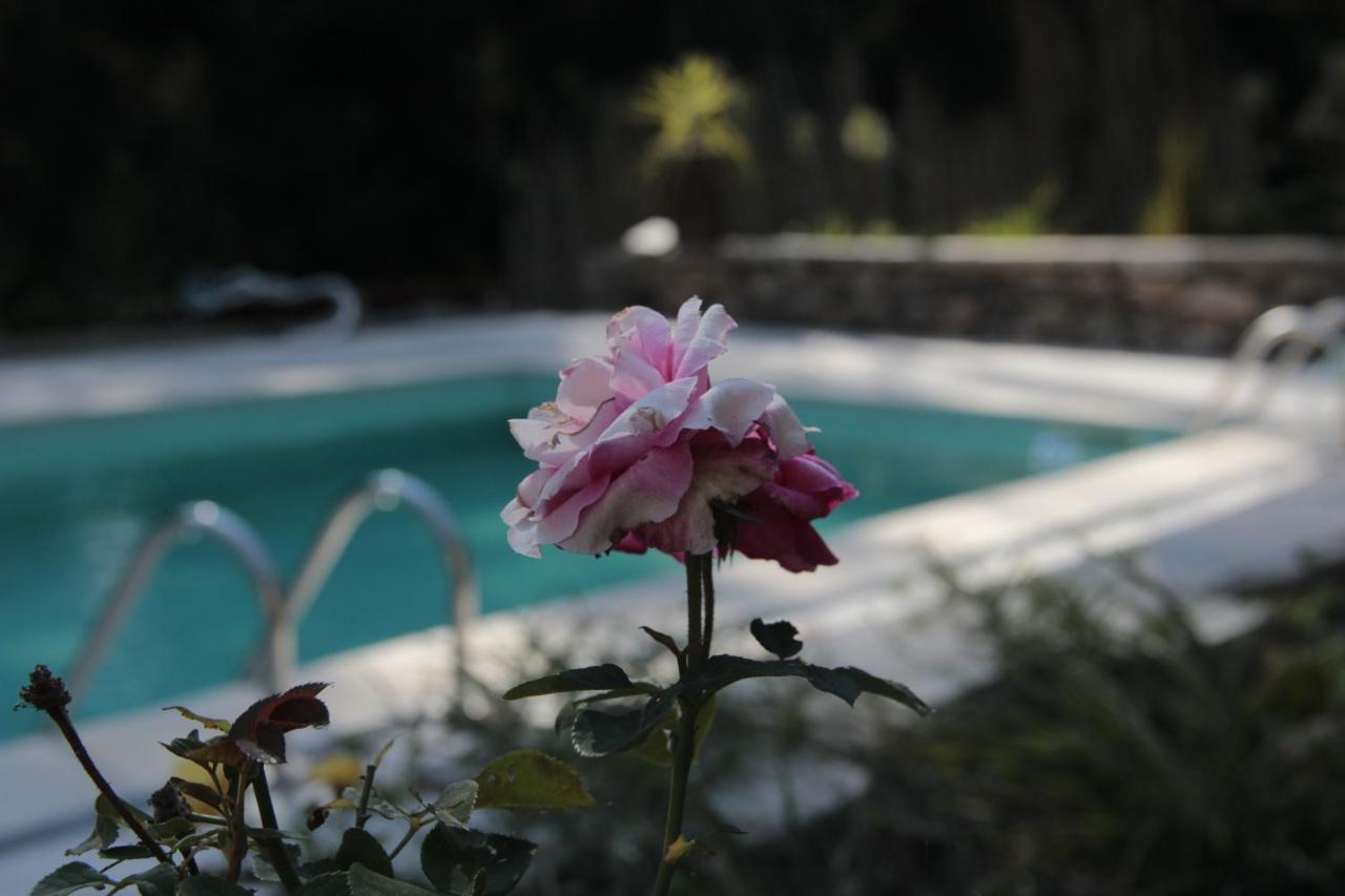 Villa Bosque Dos Amieiros Marco de Canavezes Esterno foto