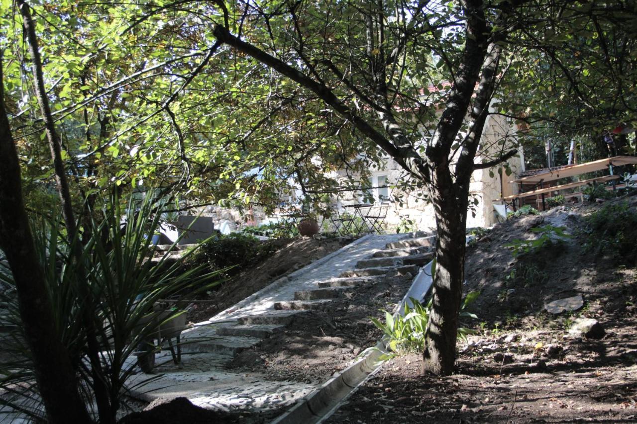 Villa Bosque Dos Amieiros Marco de Canavezes Esterno foto