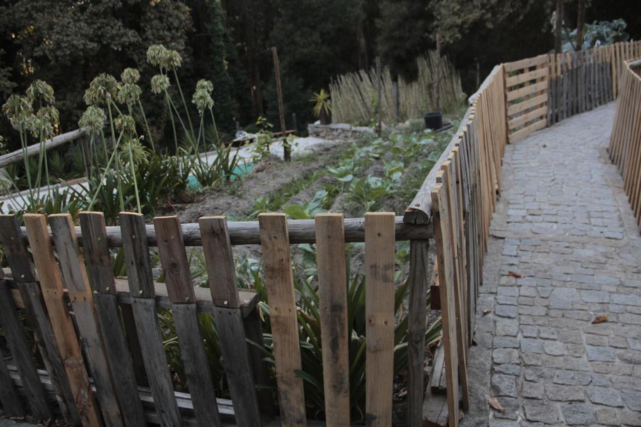 Villa Bosque Dos Amieiros Marco de Canavezes Esterno foto
